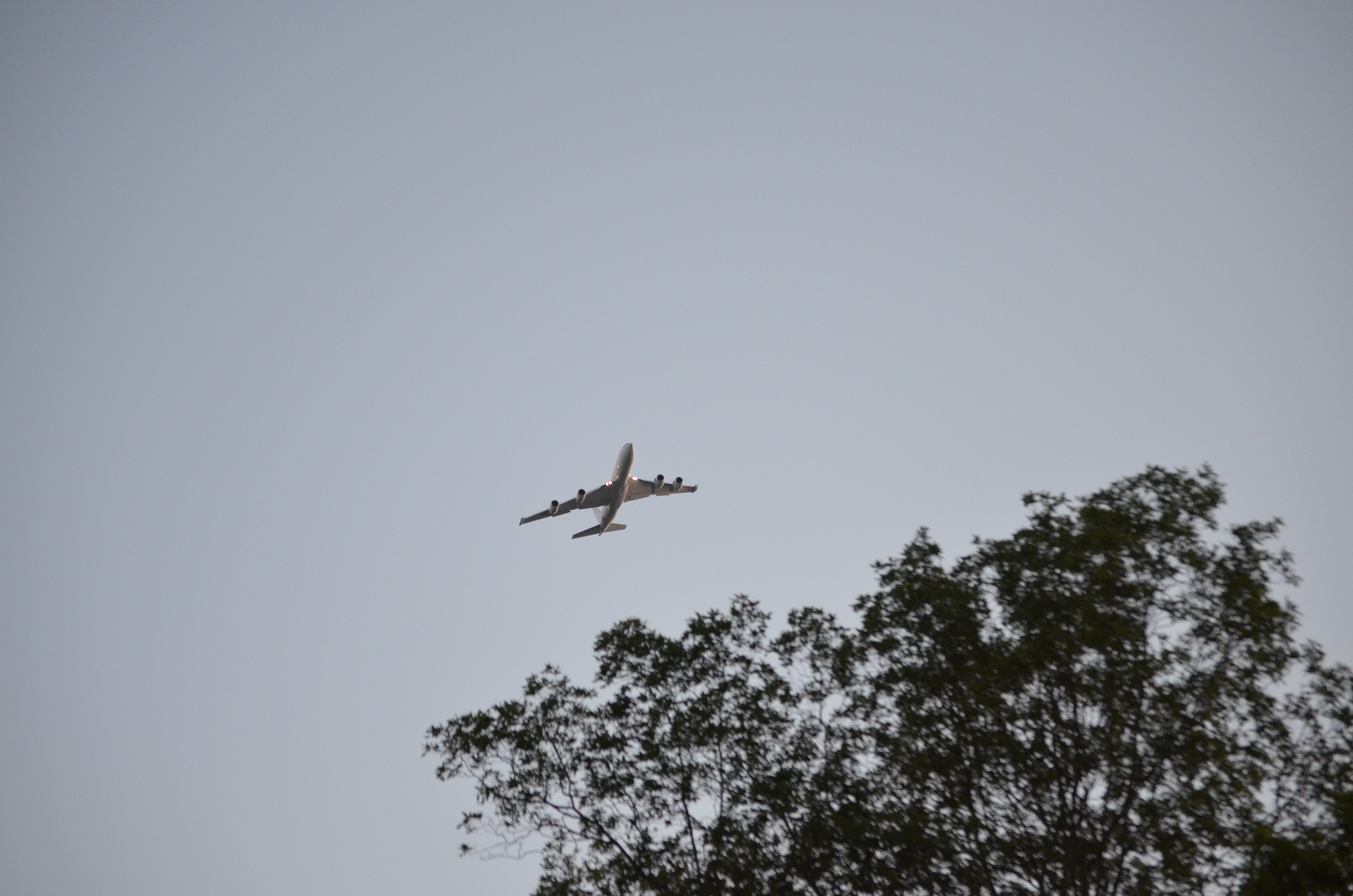 ./2020/04 - May/DSC_0293.JPG